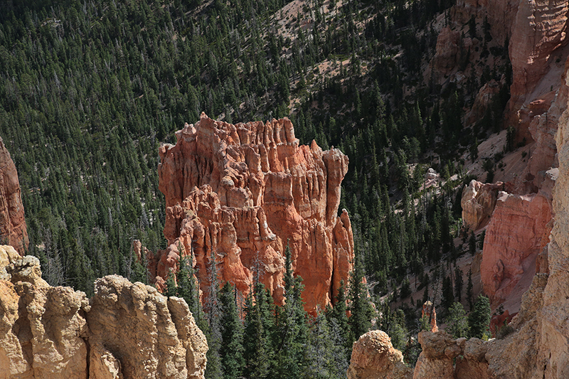 Bryce Canyon : Utah : Landscape Photos : Richard Moore : Photographer